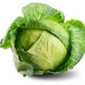 Cabbage
